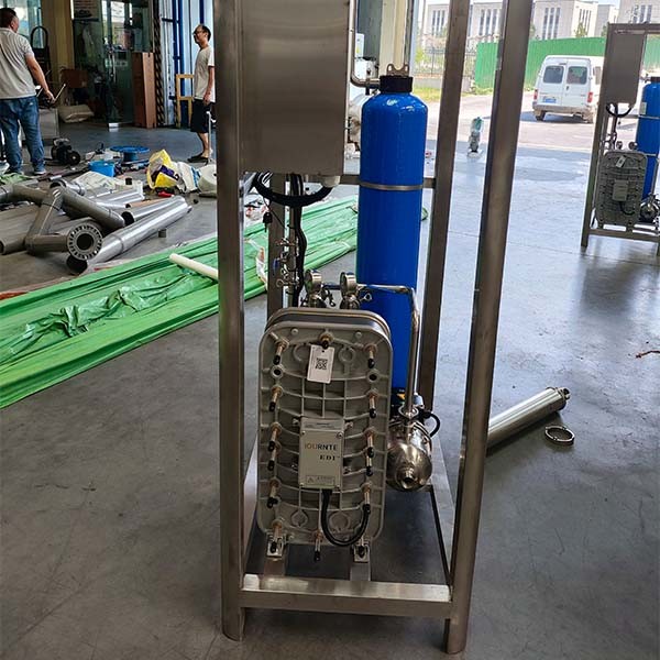 Automatic Operation System 200LPH Salt-free EDI Ultrapure Water Equipment