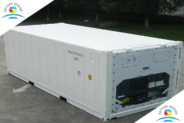 High Strength 20ft Refrigeration Pallet Wide Container Thermo King Reefer Container