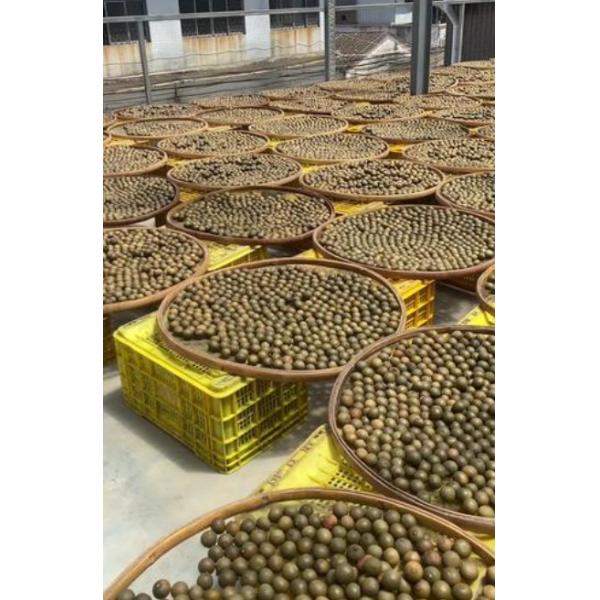 Natural Cultivation Dried Citrus Peel Chinese Medicine For Health