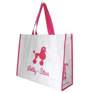 China promotional pp non woven bag for shopping wholesale