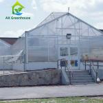 Agricultural Farm Plant Vegetable PC Sheet Greenhouse With Ventilation System