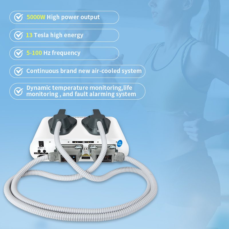 Tesla Ems Laser 2 Handles Intensity Pulsed Electromagnetic RF 5000w Muscle Stimulator