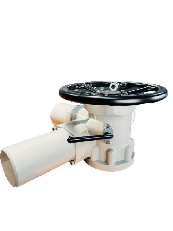 50 NM Mini Electric Actuator Multi Turn Custom Anti Humidity