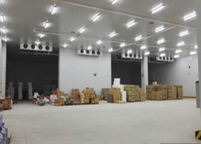 Fruit / Vegetable Cooler Modular Cold Rooms With 50 ~ 200mm Pu Sandwich Panel