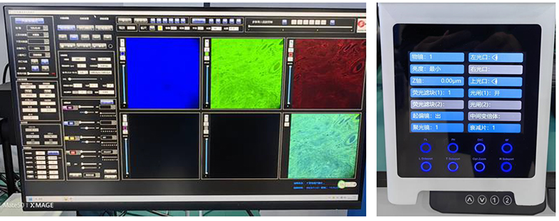 Opto Edu A64.0960 Laser Confocal Scanning Microscope Full Auto Motorized