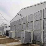 OEM Standard Poultry House Steel Structure With Sliding Windows