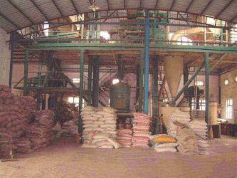Shanghai K&B Agricultural Technology Co., Ltd.