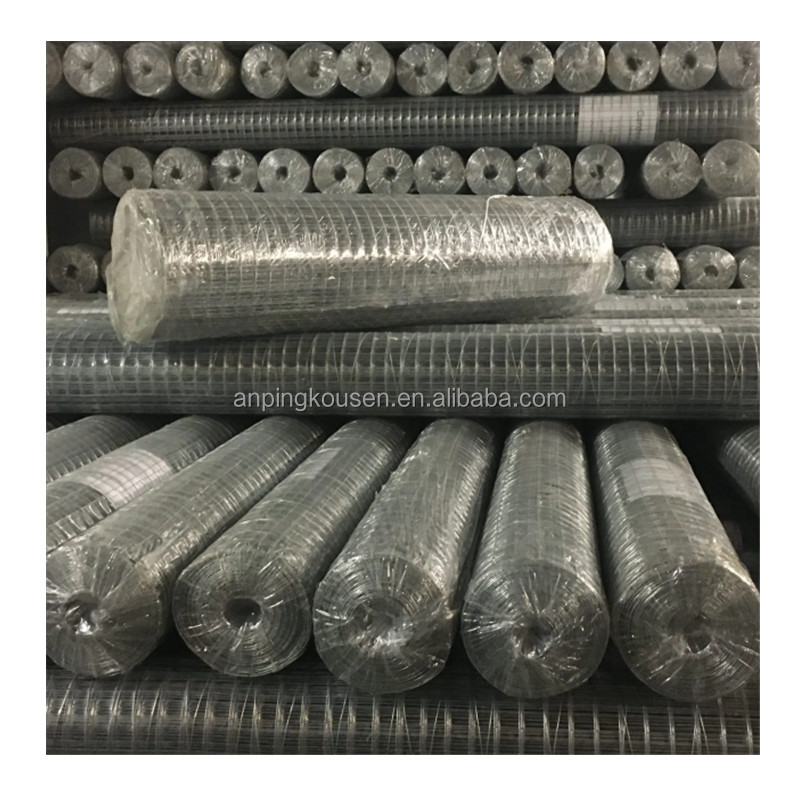 1mx30m Welded Mesh Cages for Chicken Galvanized and Pvc Coated Budget-friendly Choice
