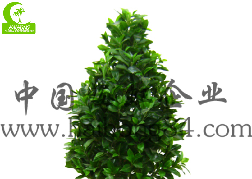 artificial money tree plant