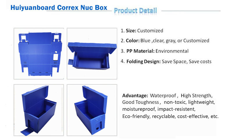 Lightweight Foldable Corflute Nuc Box For Beekeepers