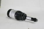 Rear Land Rover Discovery 3 Air Suspension Replacement Strut Rpd501090 RPD500880