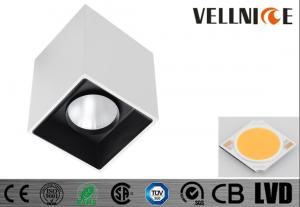 China 10W Surface Mount Ceiling LED Lights Aluminum 3000K White With Built-in Driver wholesale