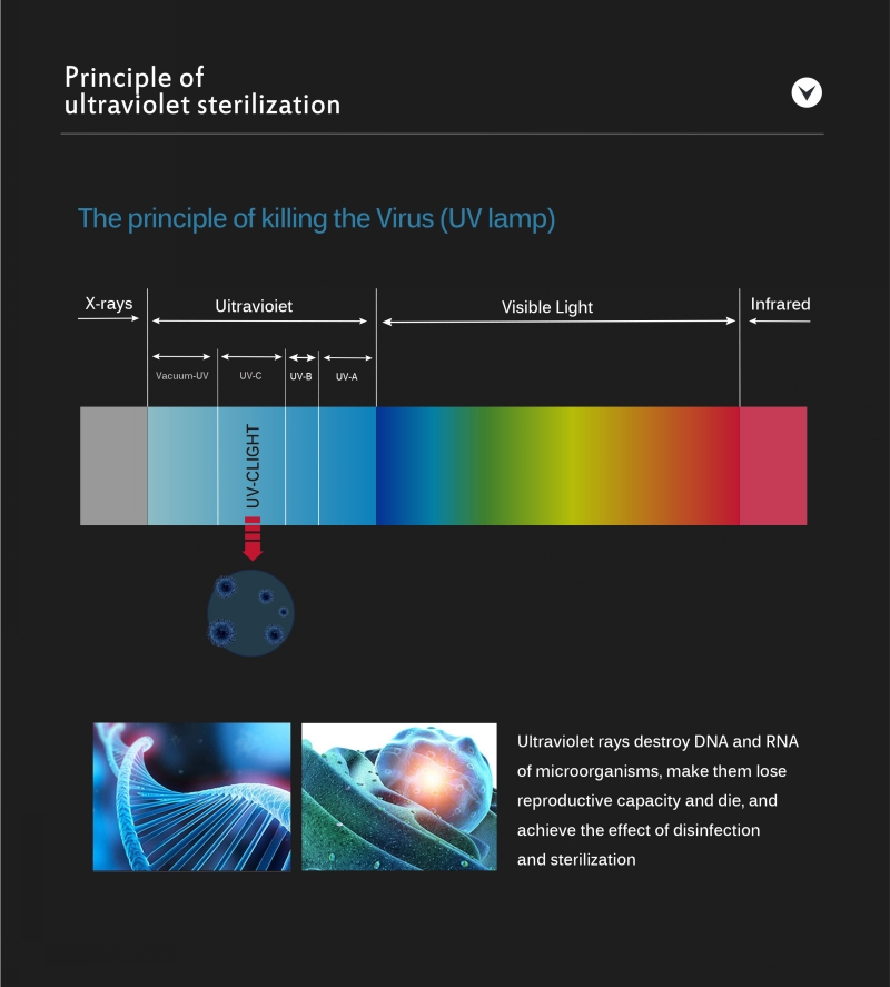 ultraviolet light disinfection whole rooms