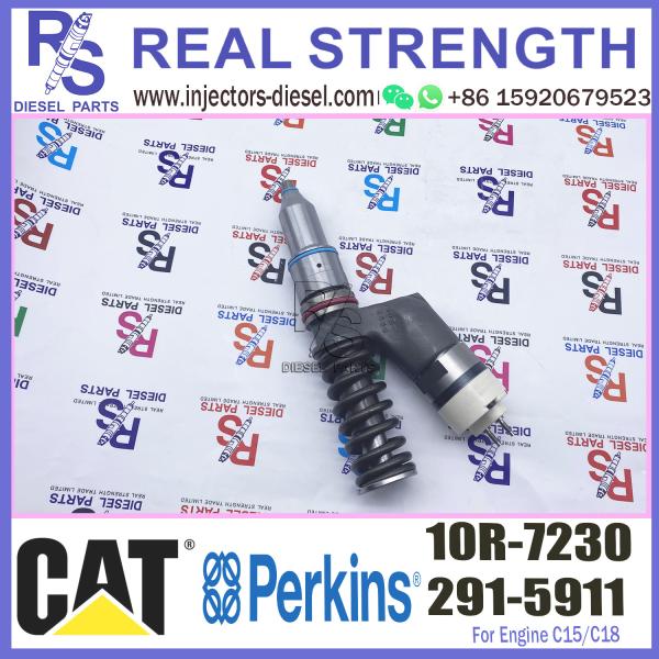 Diesel Engine Parts fuel injector 291-5911 10R-7230 For CAT Caterpillar Excavator 395 390F L