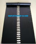 Weed Control Mulch Film, Agriculture Vegetable Black PE Films, 5 Holes