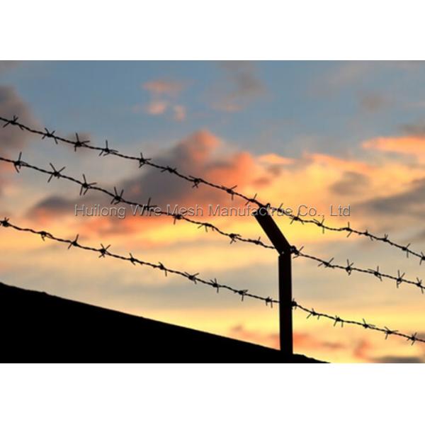 Hot Dipped Galvanized Barbed Wire 12 14 16 Gauge Weather Resistant