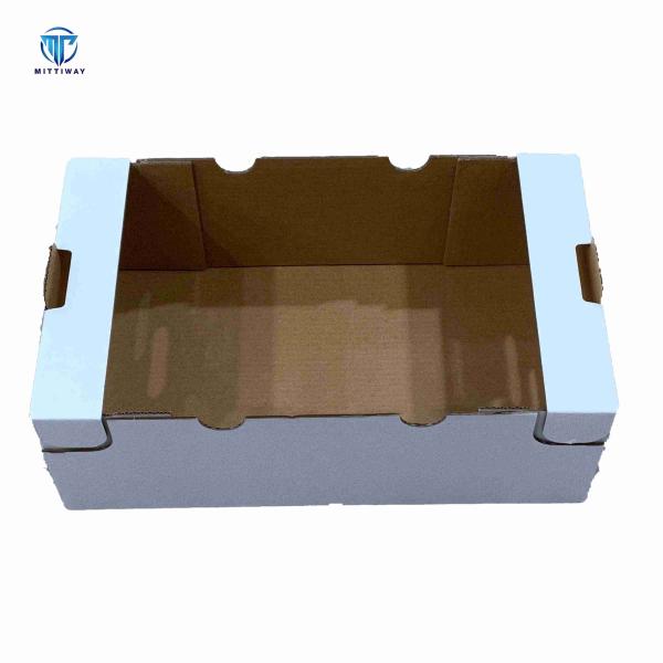 Corrugated Folding Carton Machine 2KW Hotmelt Tray Former For Case