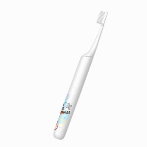 China Rechargeable Adult Electric Toothbrush Smart Timer Ultrasonic Whitening Toothbrush wholesale