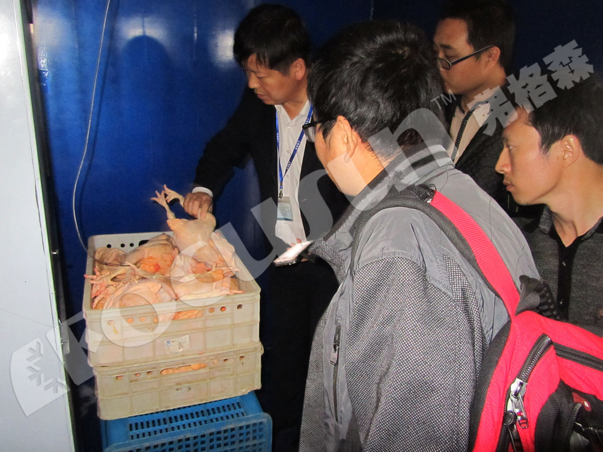 Precooling Machine 1000KG one pallet Vacuum Cooler for Lettuce 380V/3P/50HZ
