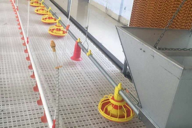 1.5kW 200L Poultry Automatic Pan Feeding System