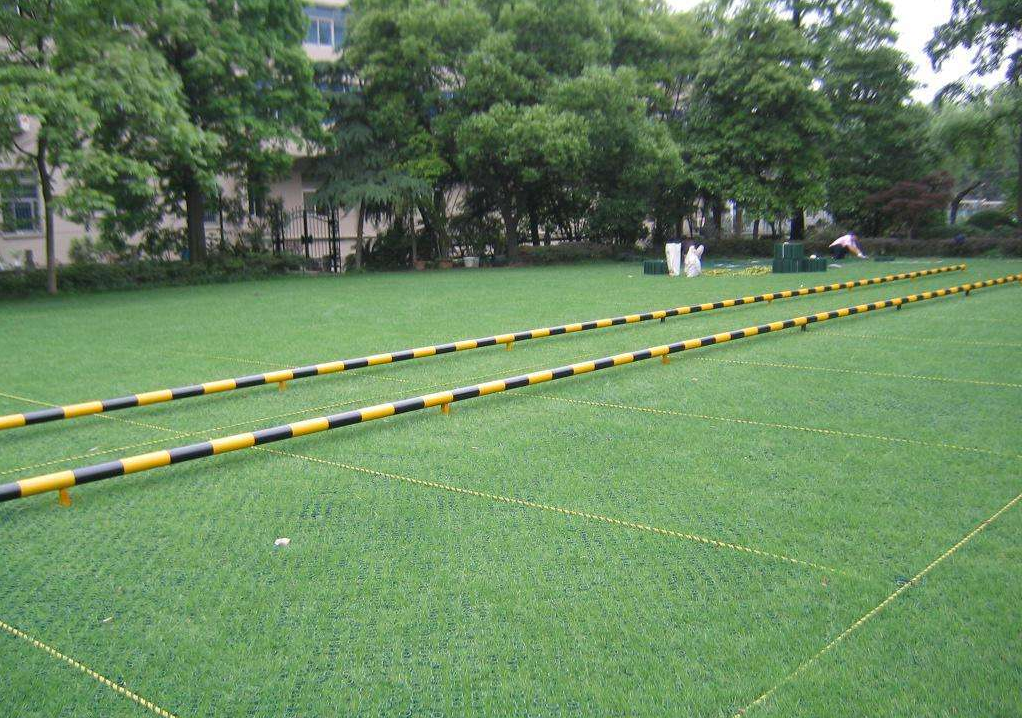 HDPE Grass Paver Grid for Parking Lot and Driveway Onsite Inspection After-sale Service