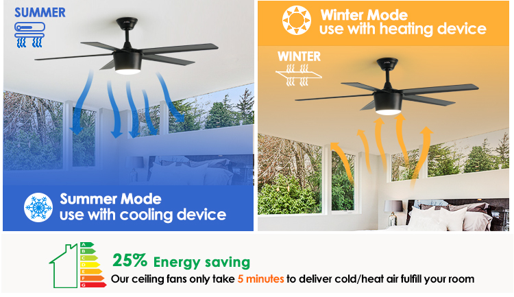 1stshine Decorative Ceiling Fan with Light 6 Speed Remote Control and 10-Year Motor