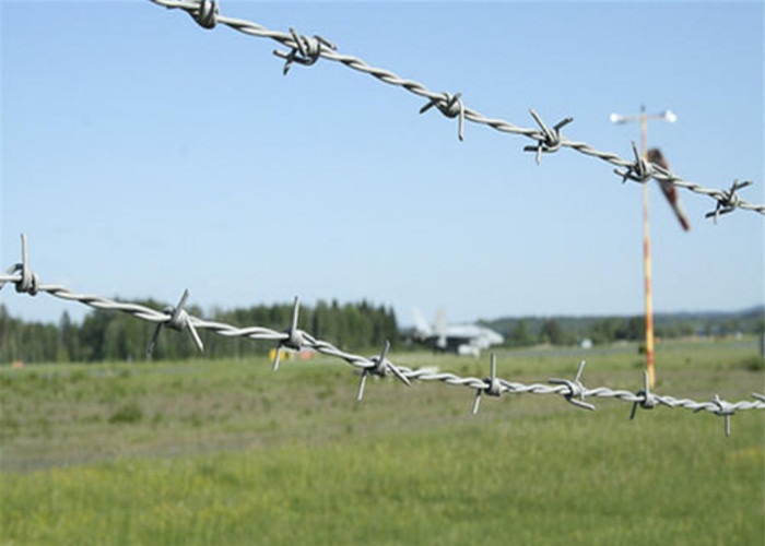 PVC Coated Hot Dipped Galvanized Barbed Wires