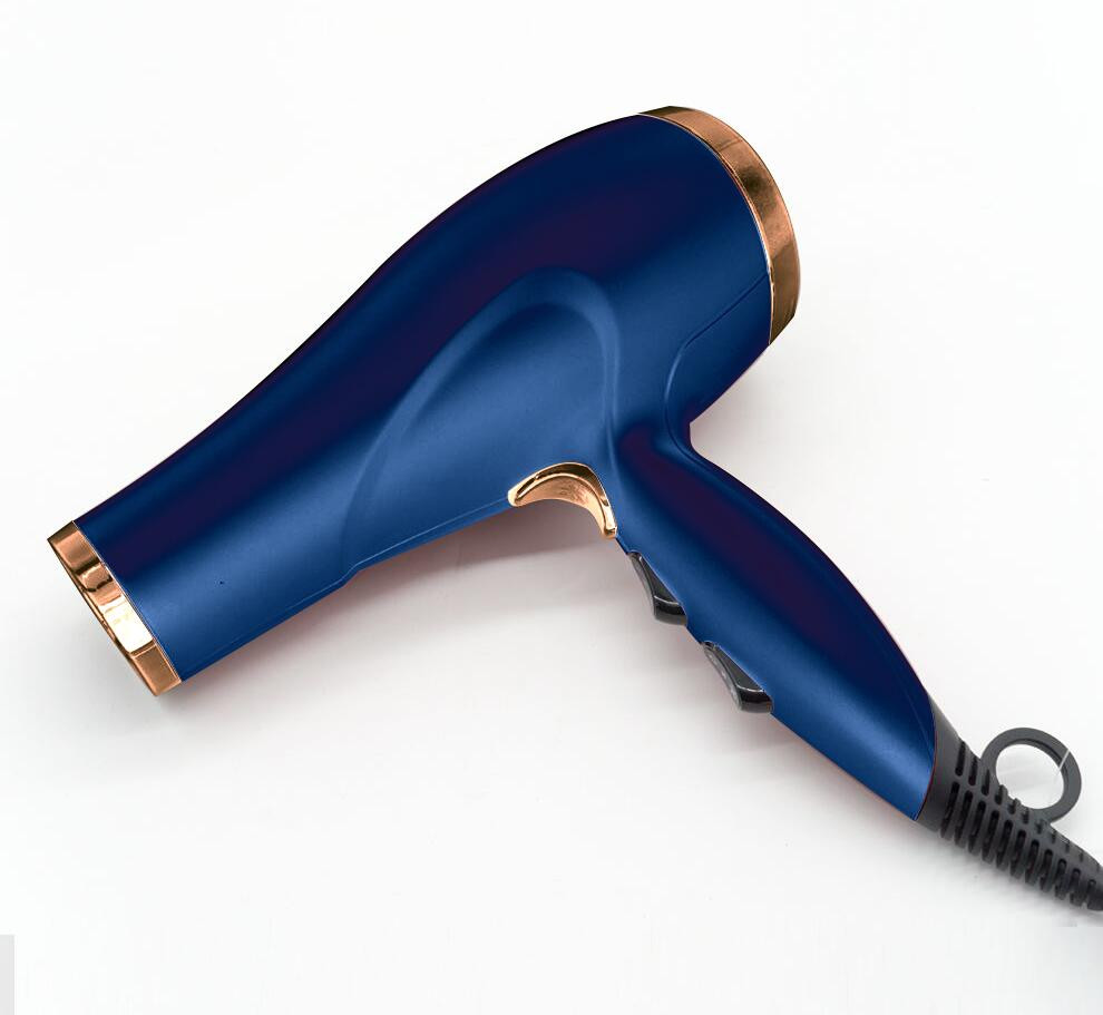 Professional AC Salon Blow Dry Machine For Hair Concentrator Nozzle Type