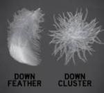Supply Filling Material for Down Duvet and Pillows