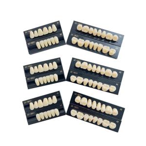 China High Flexibility Composite Dental Acrylic Resin Teeth Standard Size wholesale