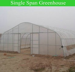 Agricultural Greenhouse Ltd. Presents Large Vertical Hydroponic System for Lettuce