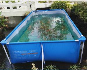 China Wholesale Pvc Fish Tank wholesale