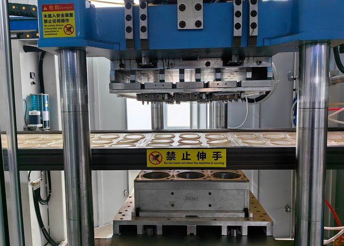 Innovative Blister Thermoforming Machine Three Station Pvc PP Pe Forming