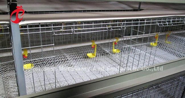 96 Birds A Type 1-12 Weeks Chick Brooder Cage In Chicken Farm Doris