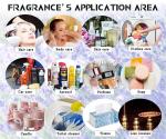 Girl Fragrance Perfumes Oil Liquid Concentrate With Free Sample 10ml