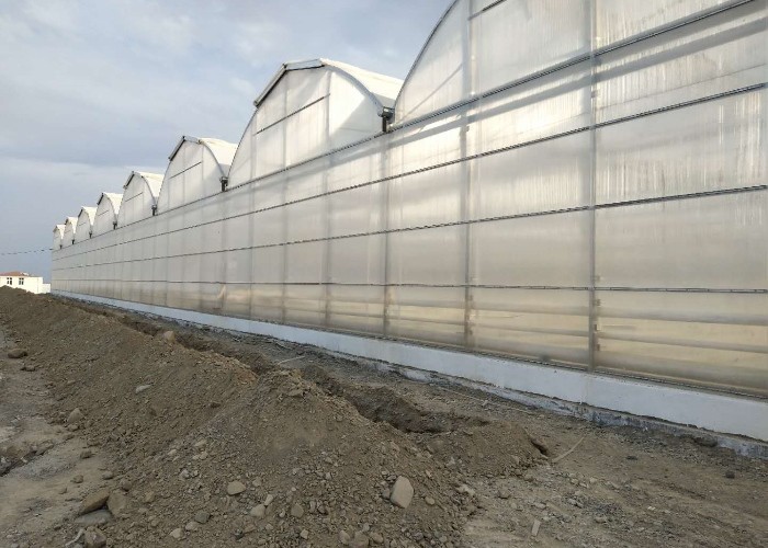 Large Scale Multi Span PC Sheet / Board Venlo Polycarbonate Greenhouse For Flower Vegetable Plant