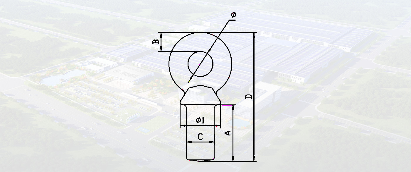 SLR244 - G80 NAV SPECIAL LIFTING EYE BOLT