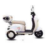 New Electric Bicycle Three Wheel Electric Tricycle for elderly/parents Four