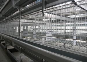 China Full Automatic Poultry Farming Equipment 1200×625×480 Mm Low Pollution wholesale