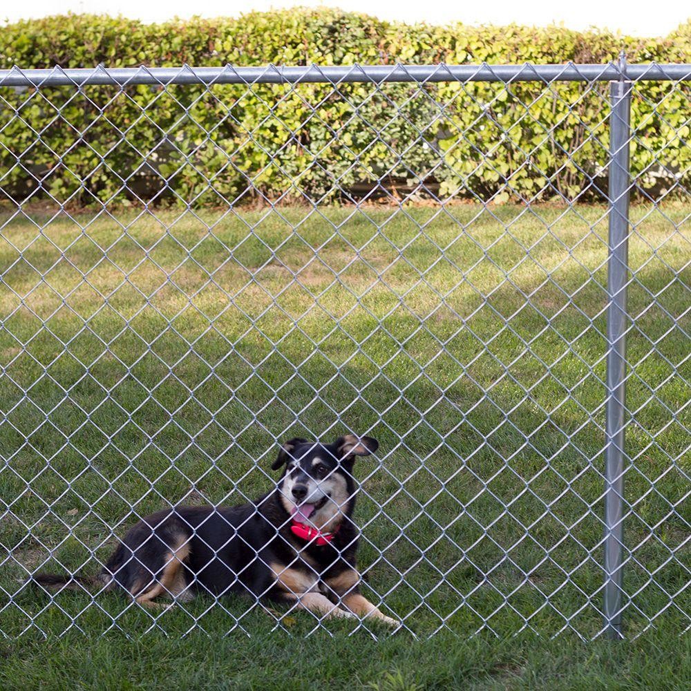Hot Dipped Galvanized 5 Ft Chain Link Fence Diamond Mesh Wire Fence
