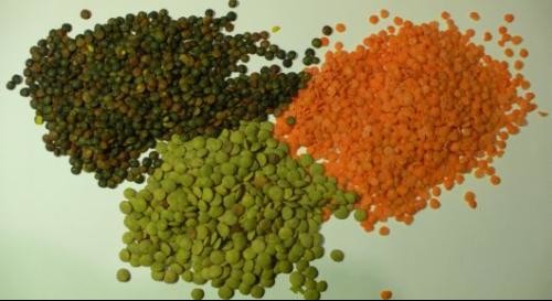 Mexico Macadamia Nuts Color Sorter With Full Color CCD Camera