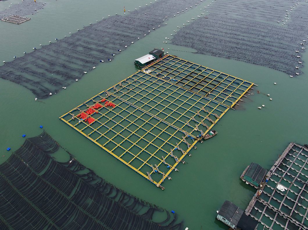 High Quality Square Pontoon Aquaculture Cage