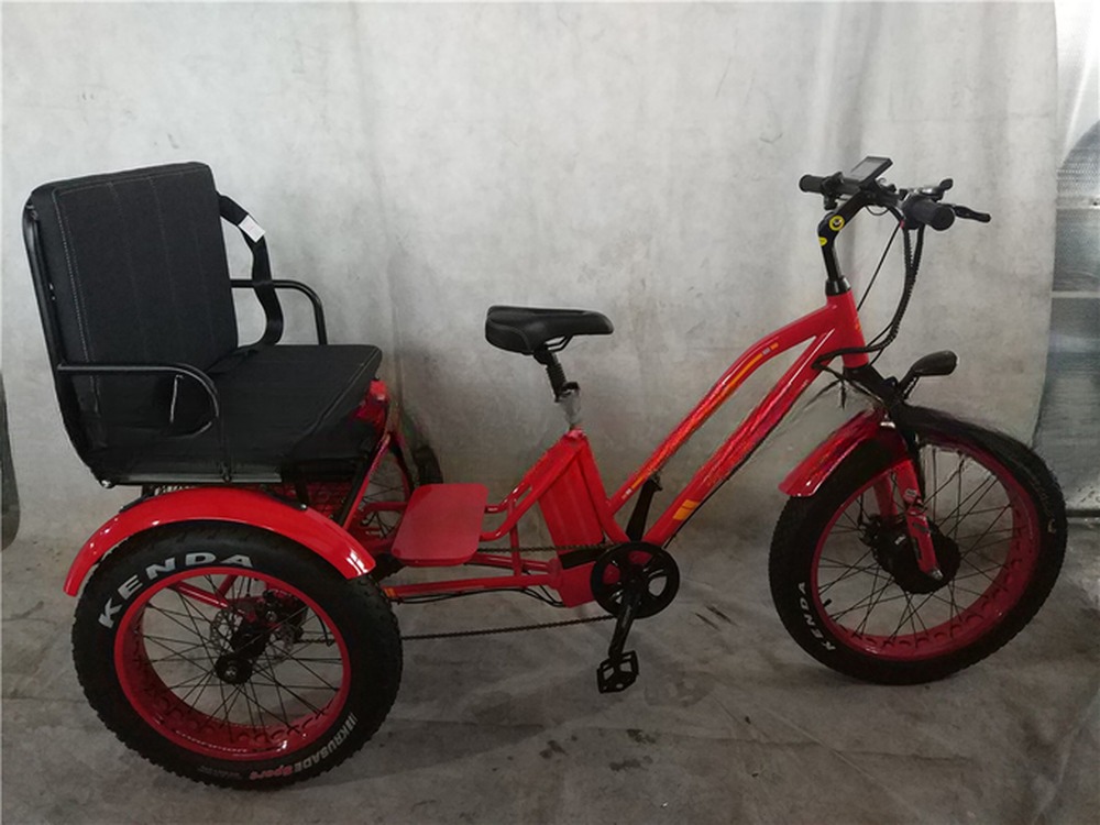 750W 48V 4.0" Fat Tire 3 Wheels E Trike Electric Cargo Bike Alloy Rim 6 Speed USA Hot