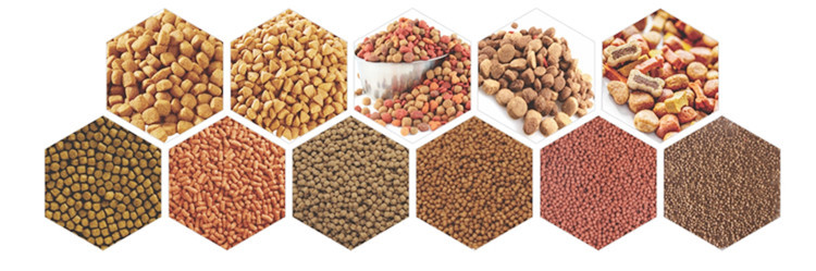 22KW Wheat Bran Automatic Cattle Feed Machine Stainless Steel Feed Pellet Line