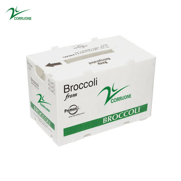 OEM Broccoli Fruit Corrugated Boxes Corrugated Plastic Delivery Box