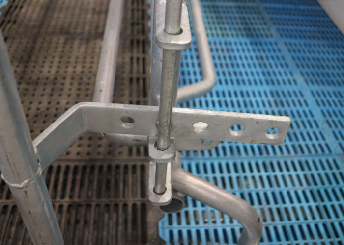 OEM ODM 304 Stainless Steel Farrowing Crates Swine Gestation Crates