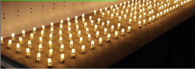 DC/AC12V G4 LED Light SMD3014 with 24pcs