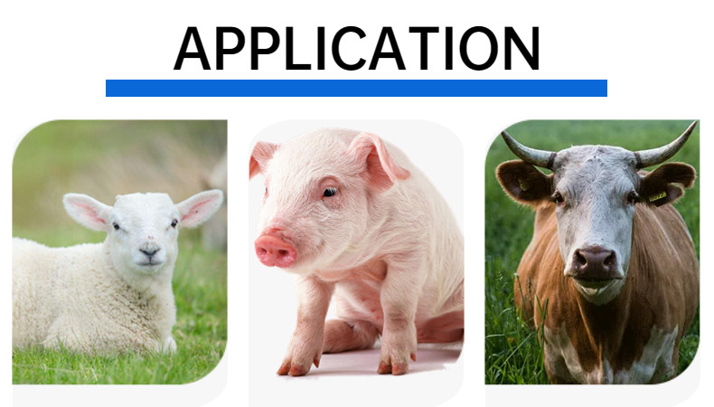 UHF Rfid Animal Ear Tag Pig Management 960MHz Anti Collision