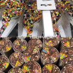Auto Stand Up Pouch Doypack Weighing Packing Granule Peanut Cashew Nuts