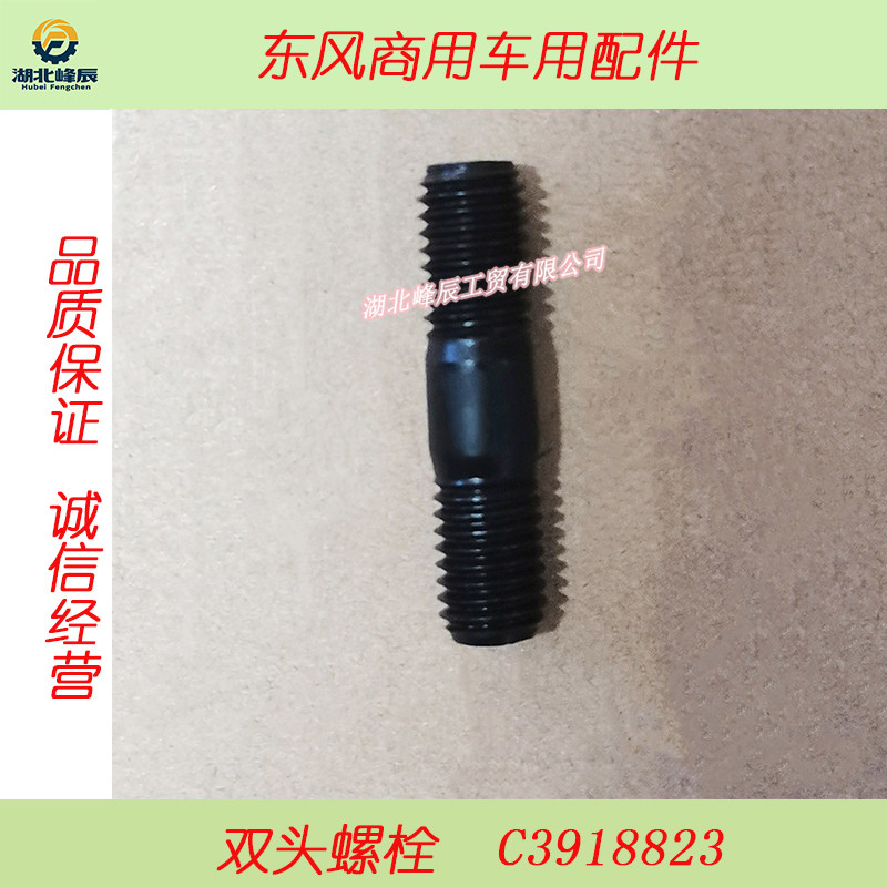 Auto Parts Used for Dongfeng/Dcec Kinland Cummins Motor--Double Ending Bolt C3918823